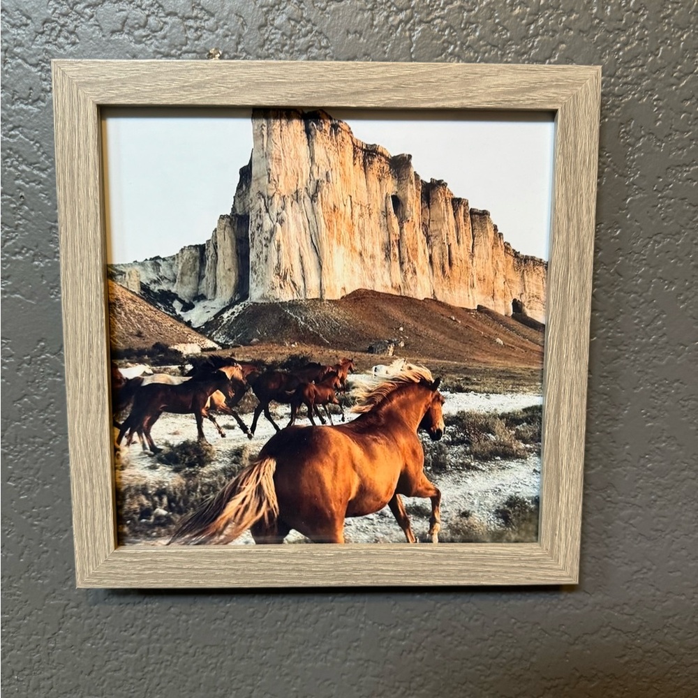 10x10 frame with picture of horses